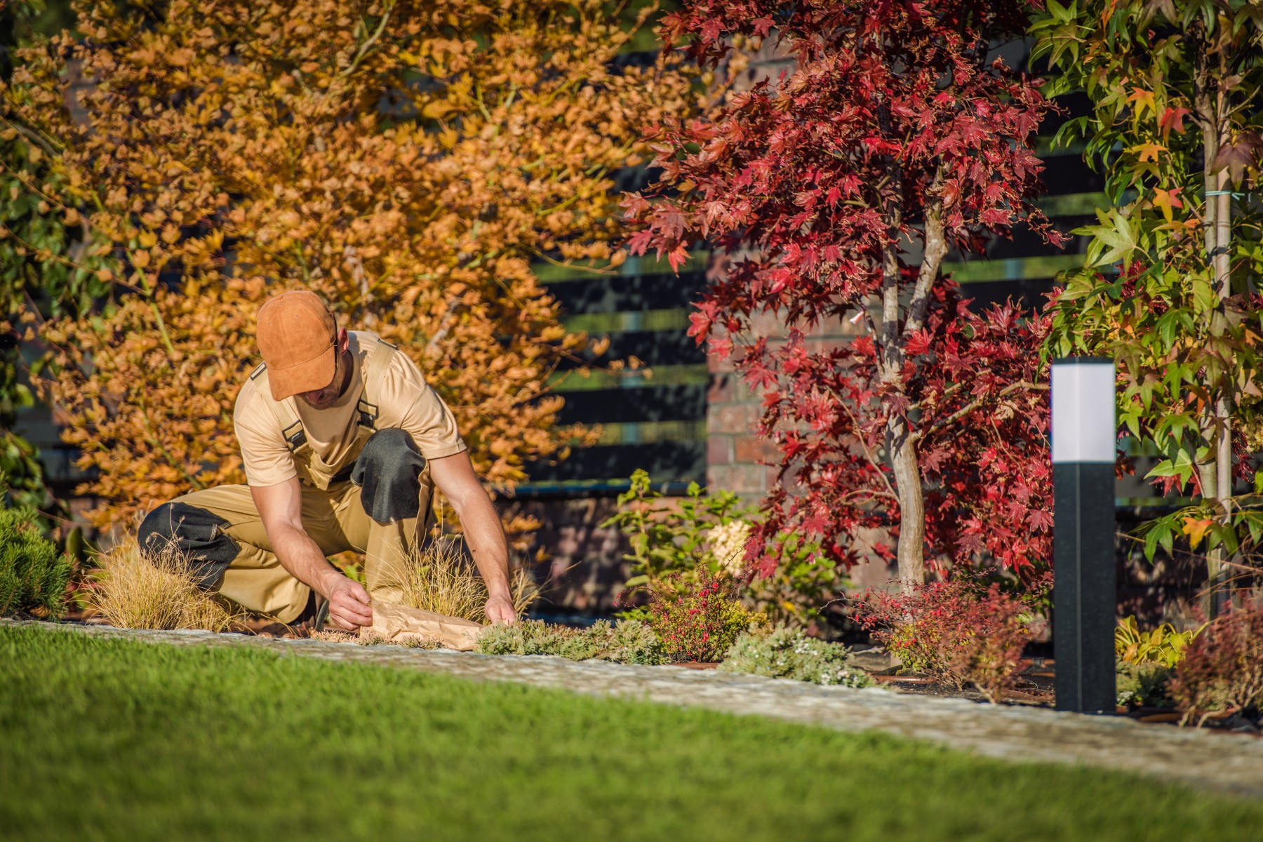 fall-season-garden-planting