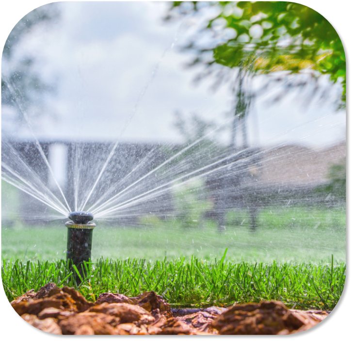 irrigation system monana nursery