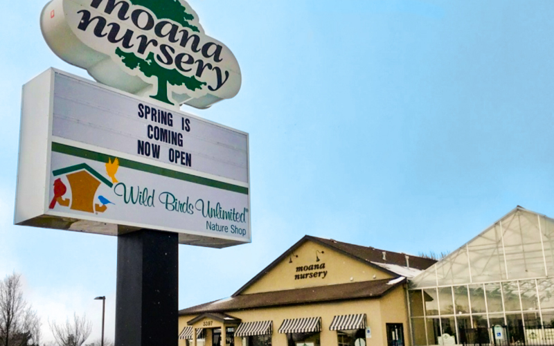 Moana Nursery_PW_marquee and sign