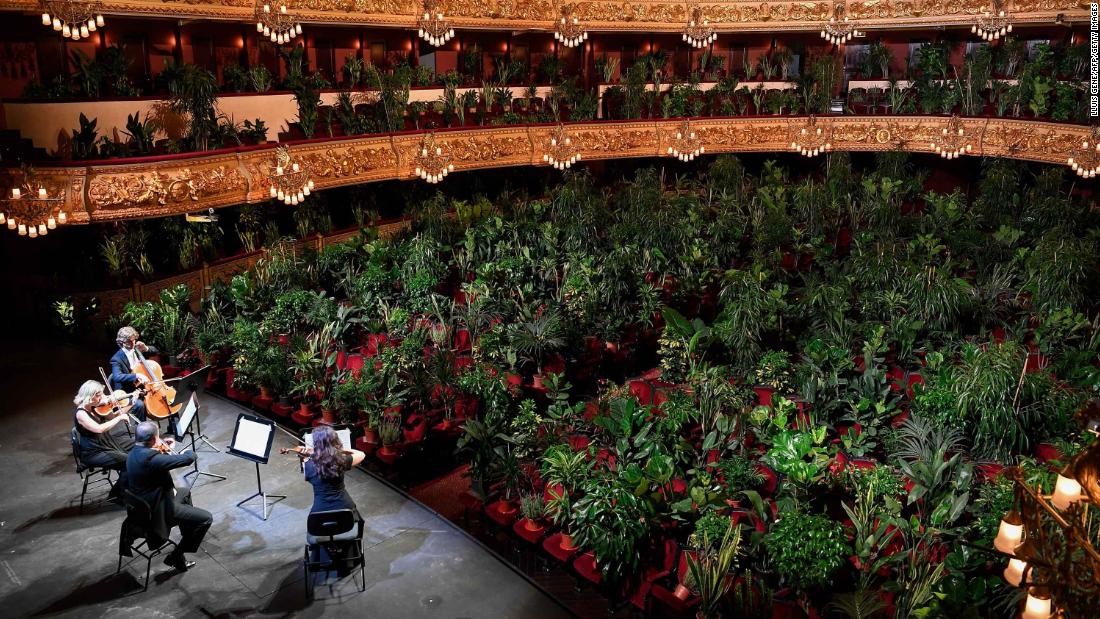 200623123148-01-barcelona-opera-plants-super-tease