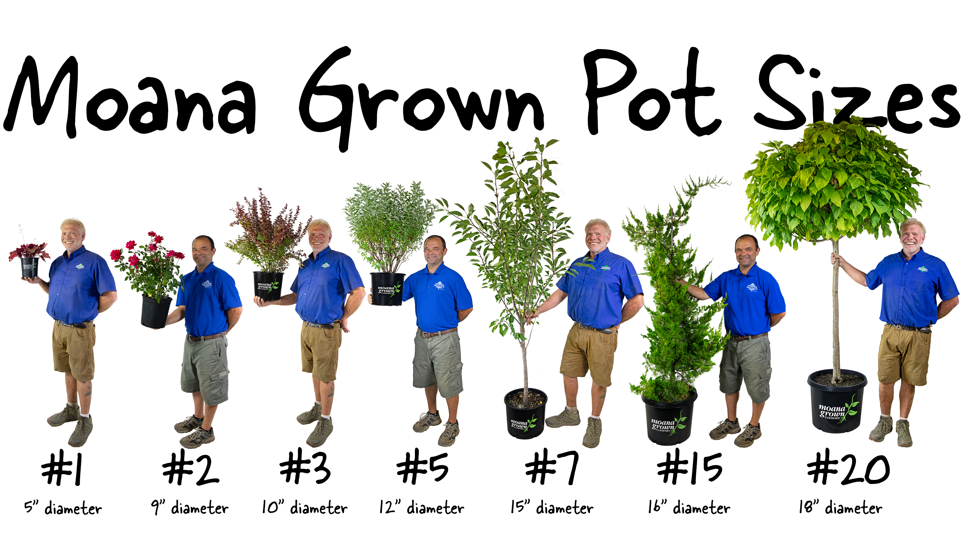 https://www.moananursery.com/wp-content/uploads/2023/01/pot-size-chart_michael-roth.png