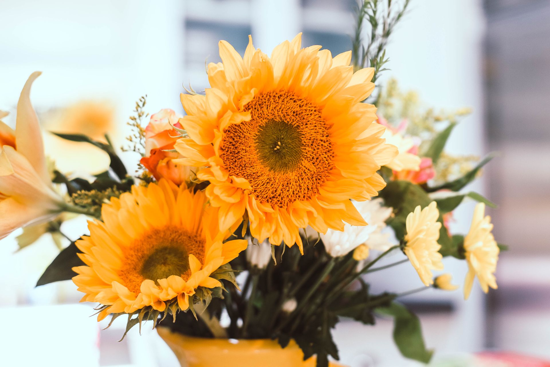 Why Seasonal Flowers Make the Best Floral Arrangements blog image with seasonal sunflowers in bouquet made by the florists at Moana Nursery in Reno, NV