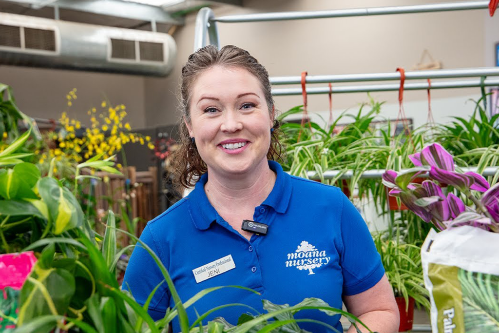 Easy Indoor Plants For Beginners Reno Sparks Lake Tahoe Moana easy-indoor-plants-for-beginners-reno-sparks-lake-tahoe-moana
