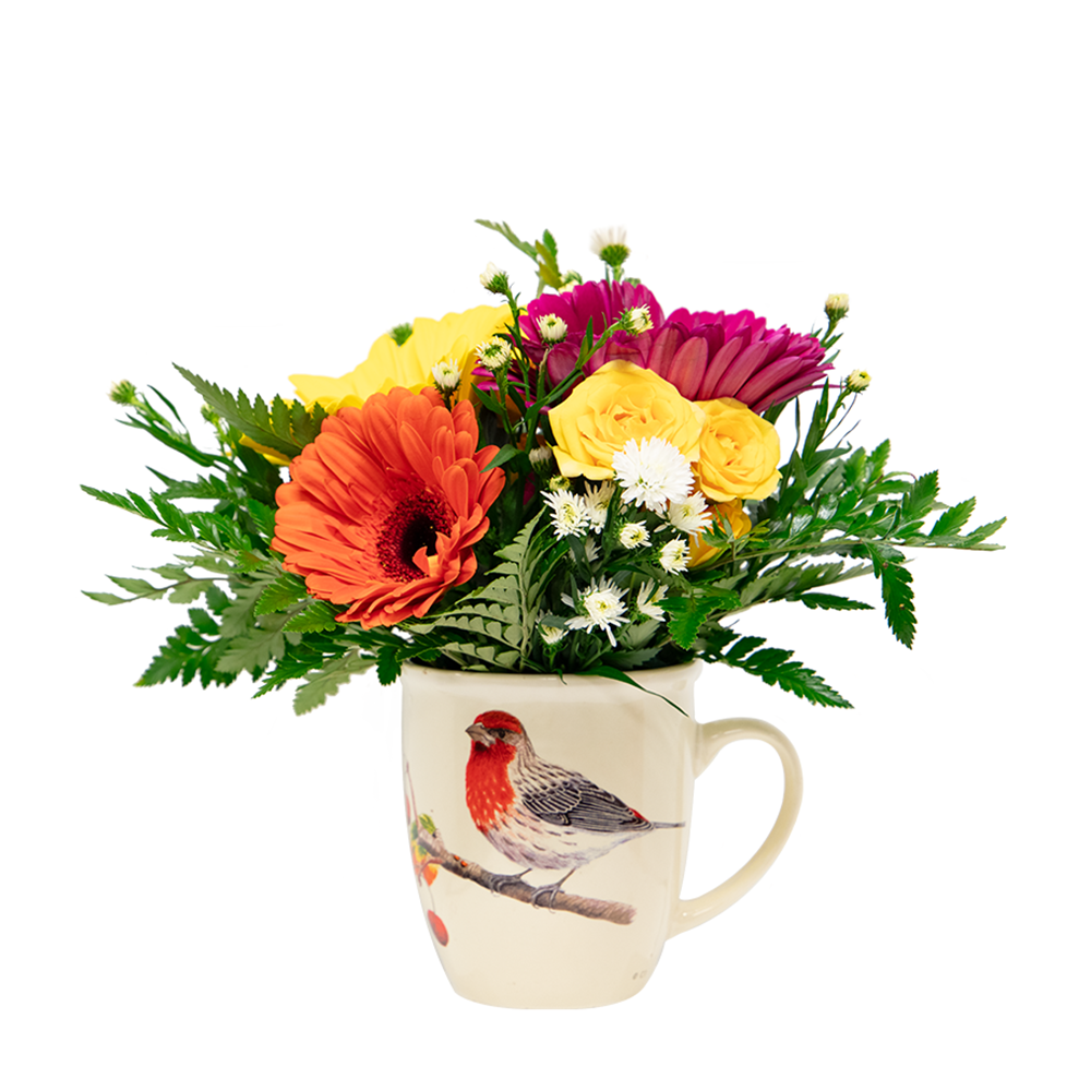 bird mug