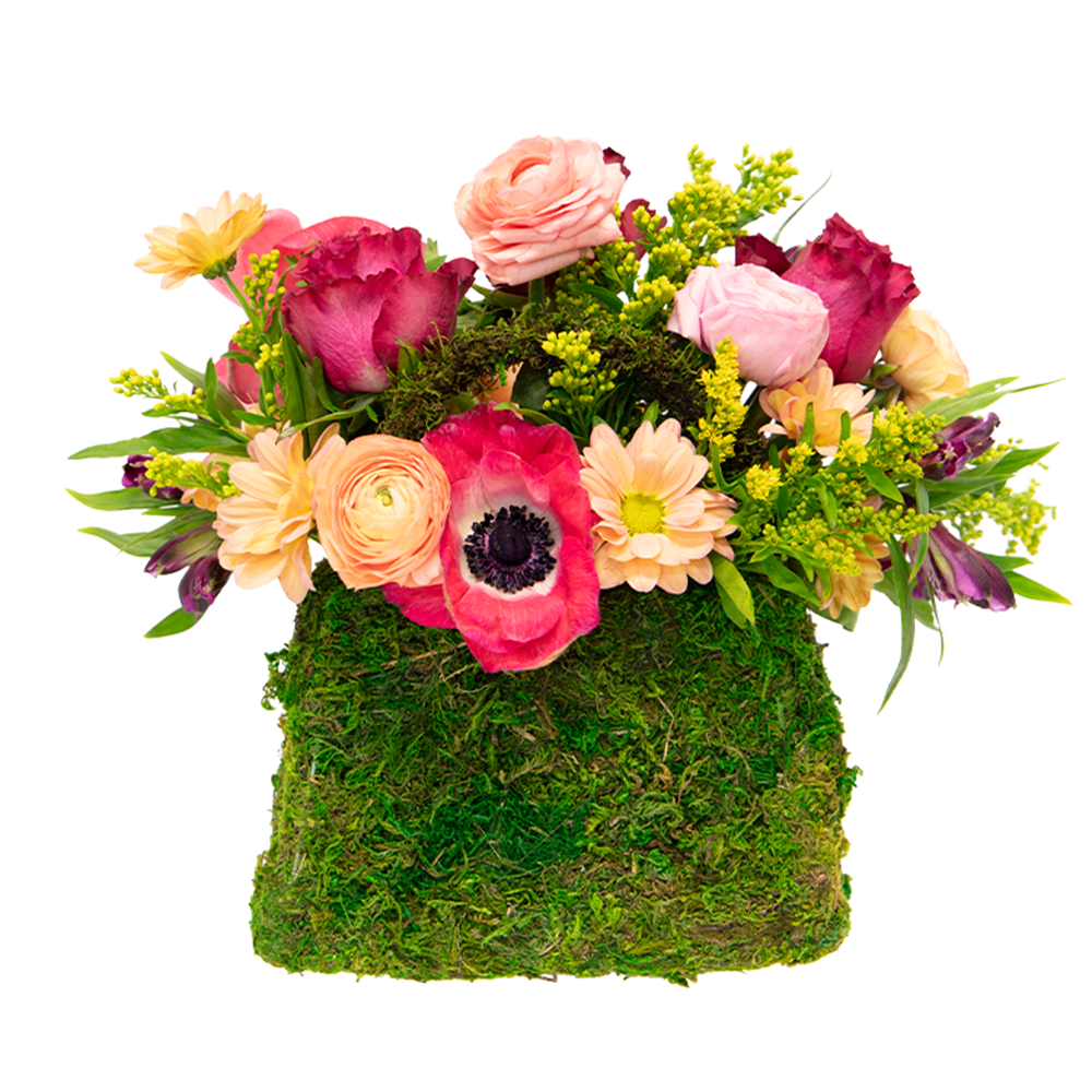 moss & bloom