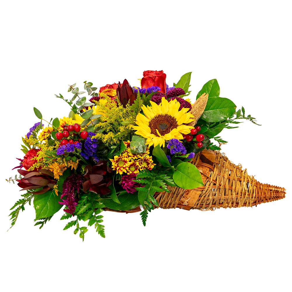 bountiful harvest refresh