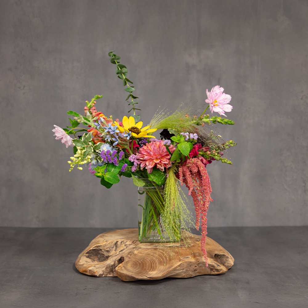 minden medley website 1000×1000