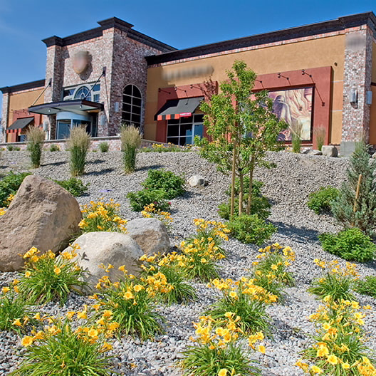 bjs-commercial-landscape-image_compressed