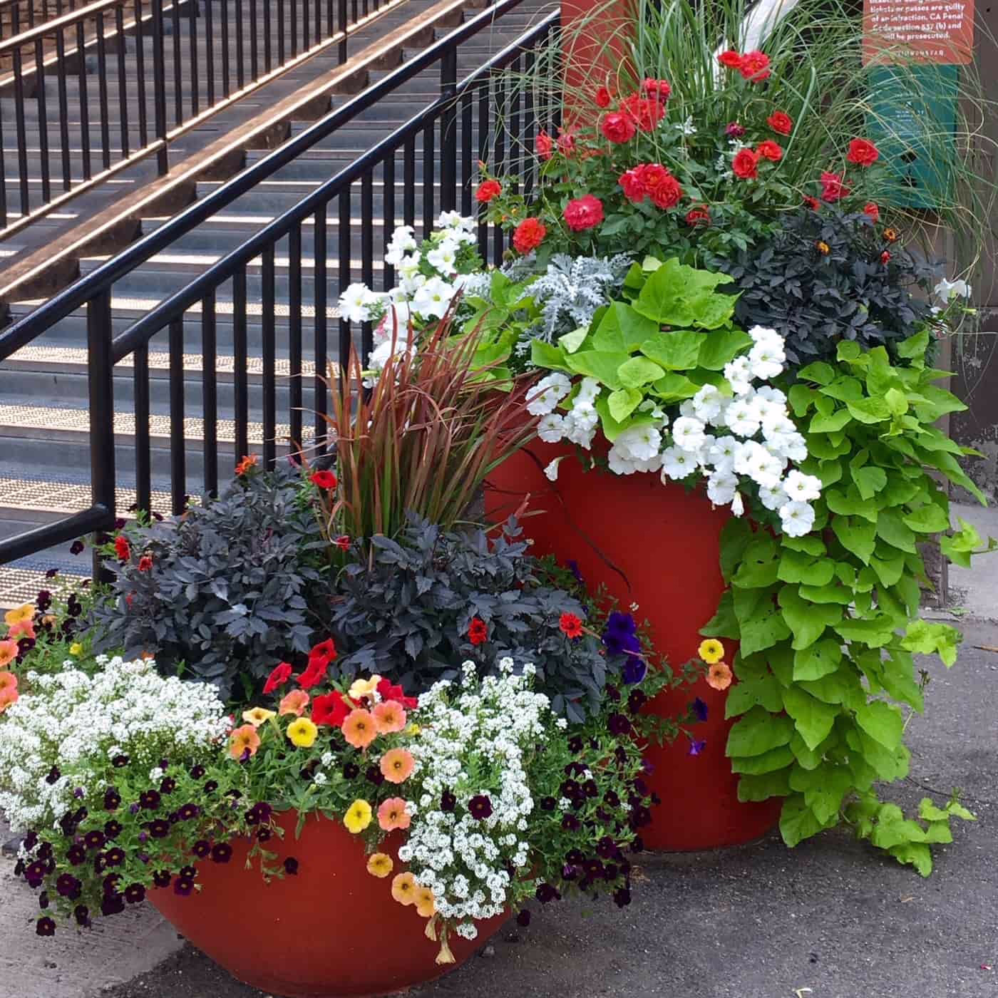 commercial-landscaping-8_compressed