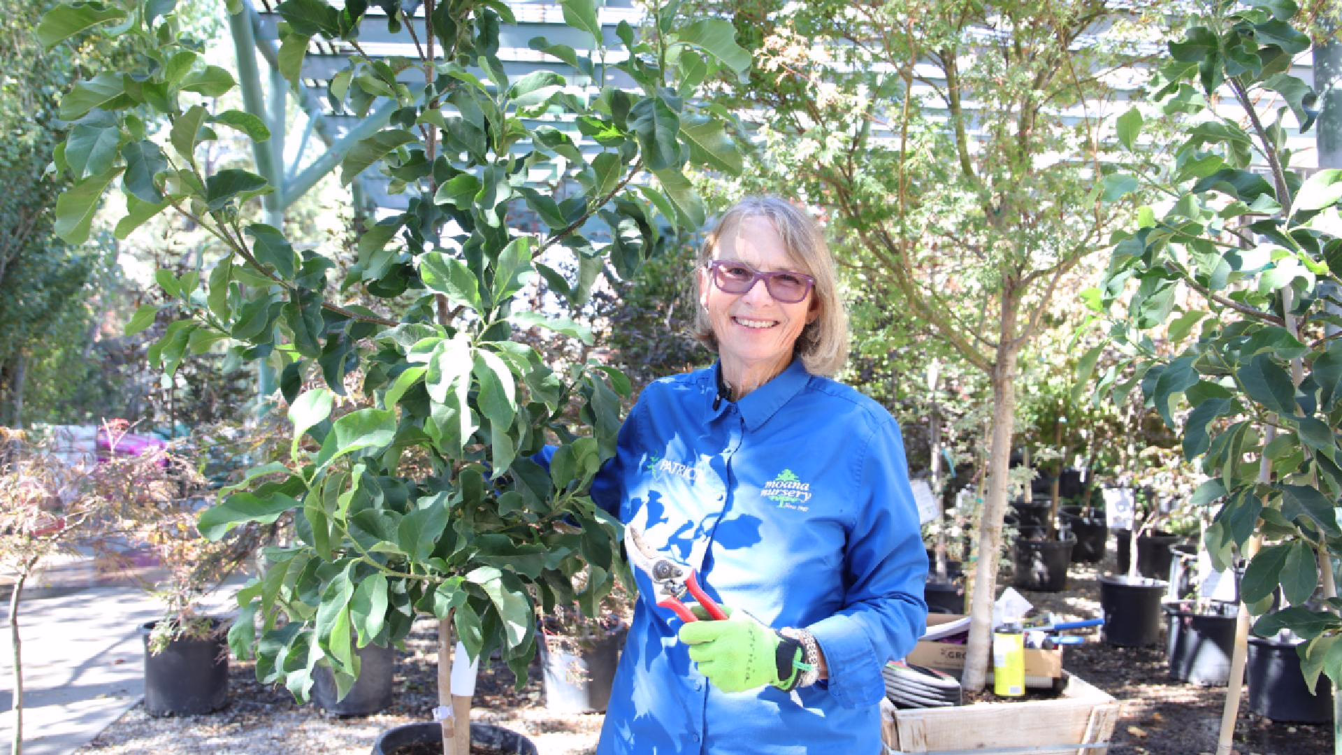 fall pruning with patricia FINAL-Cover