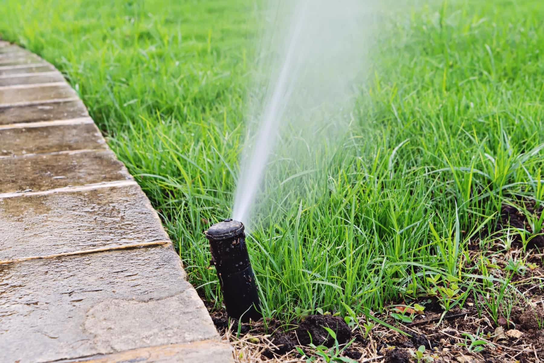how-to-check-lawn-sprinkler-efficiency_compressed