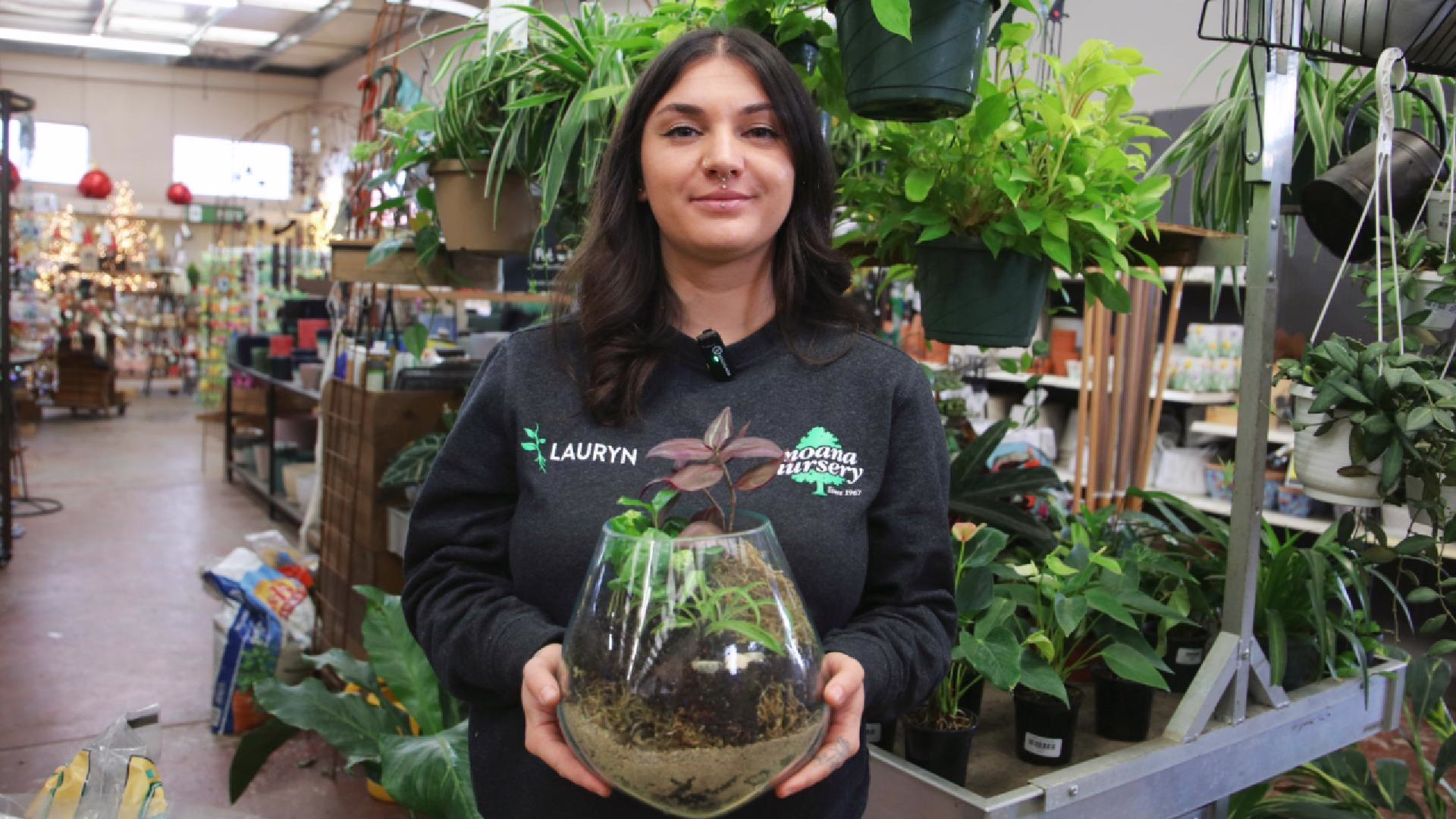 open terrariums with lauryn-Cover