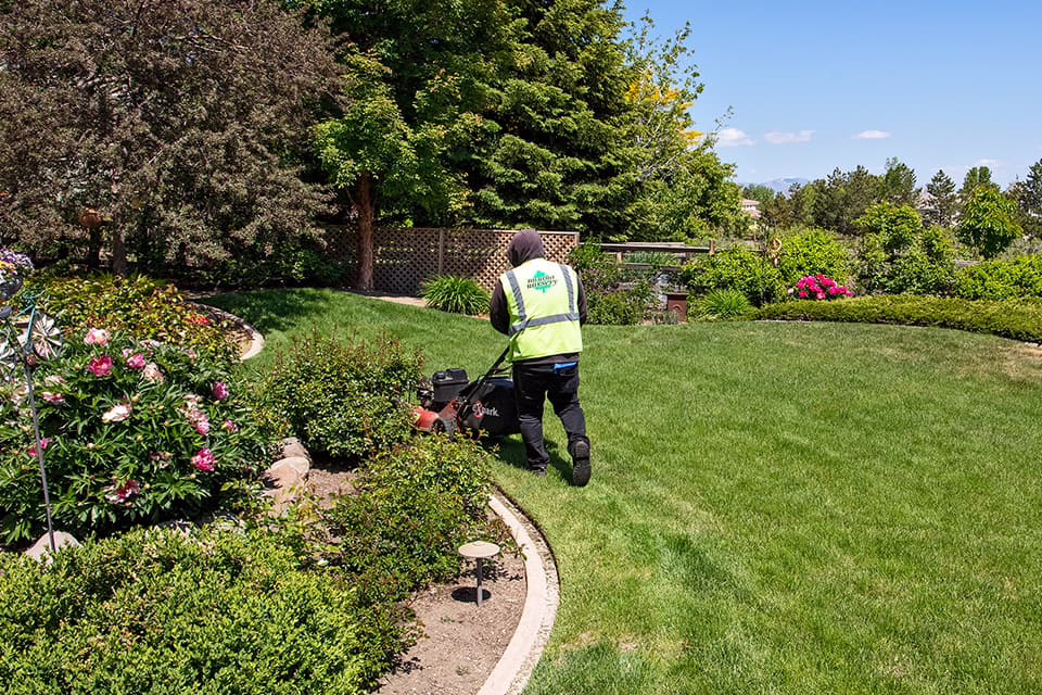 plants_christies-yard_june-2023_image-111-1920×1280-1_compressed